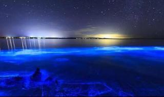 夜光法师加点 夜光法师加点